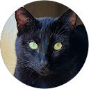 John Saddler profile picture